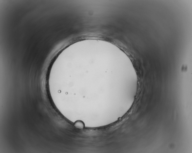 X0000103400293200809120930