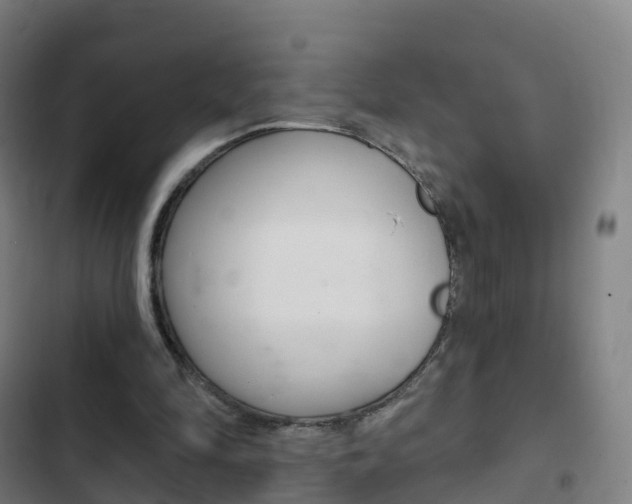 X0000103400294200809120930