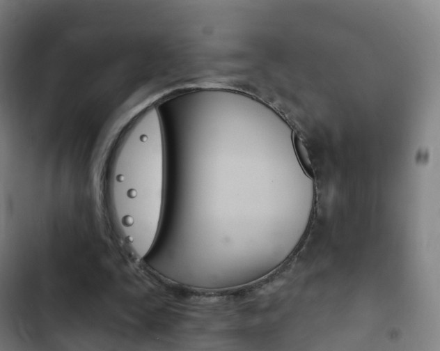 X0000103400295200809120930