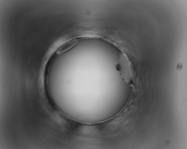X0000103400296200809120930