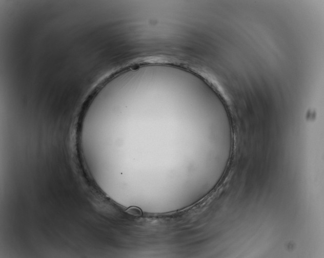 X0000103400297200809120930