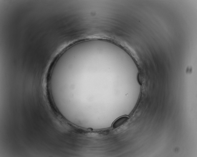 X0000103400298200809120930