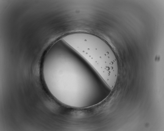 X0000103400299200809120930