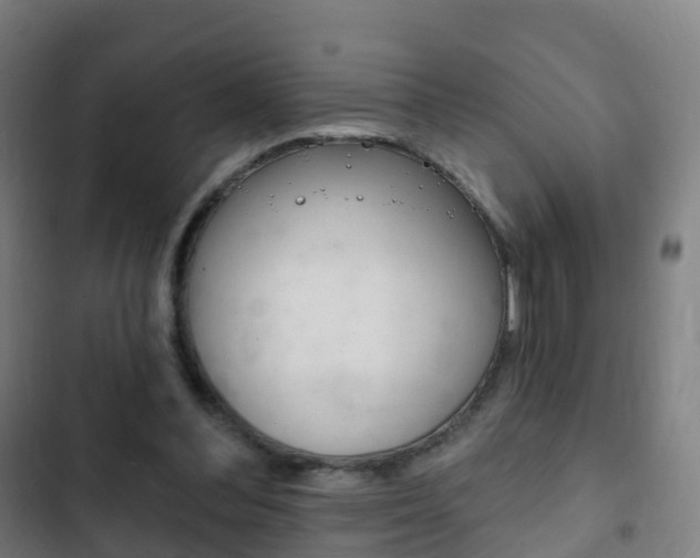 X0000103400300200809120930