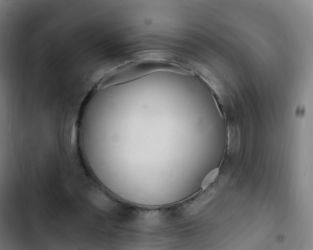 X0000103400301200809120930