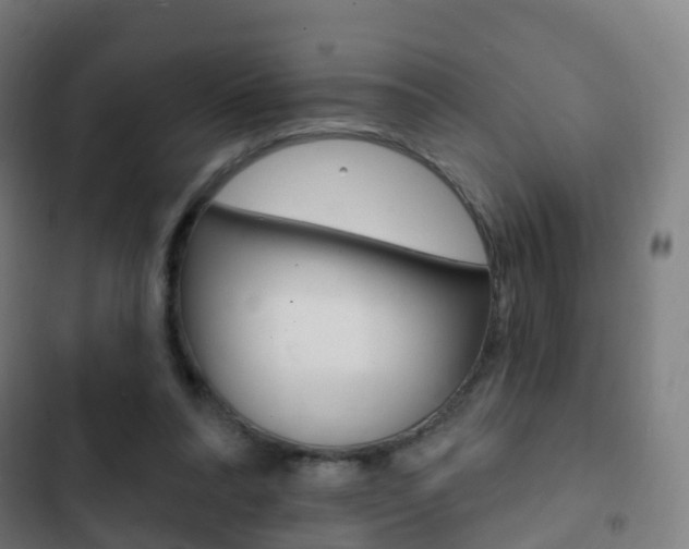 X0000103400304200809120930