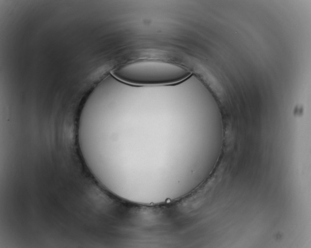 X0000103400305200809120930