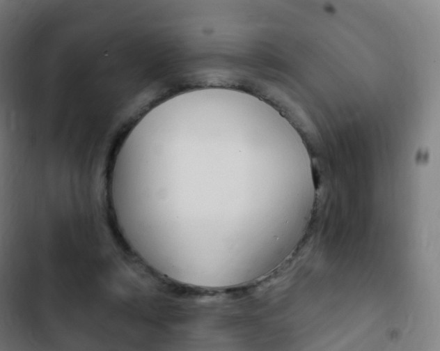 X0000103400306200809120930
