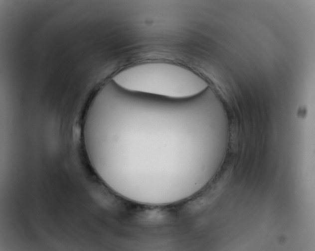 X0000103400310200809120930