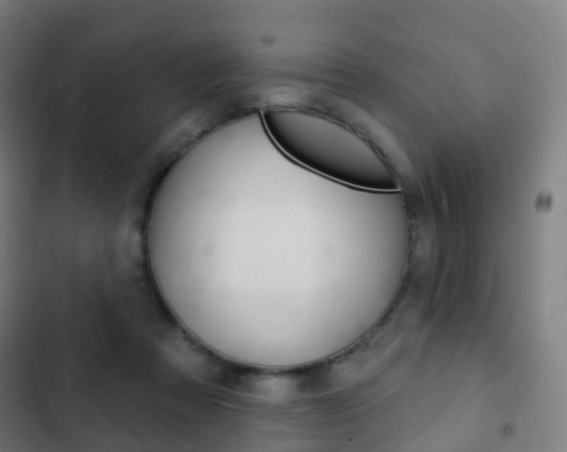 X0000103400313200809120930