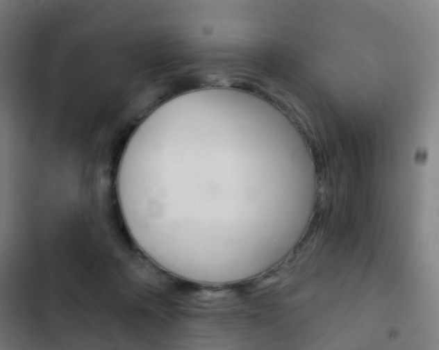 X0000103400314200809120930