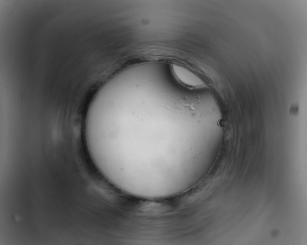 X0000103400315200809120930