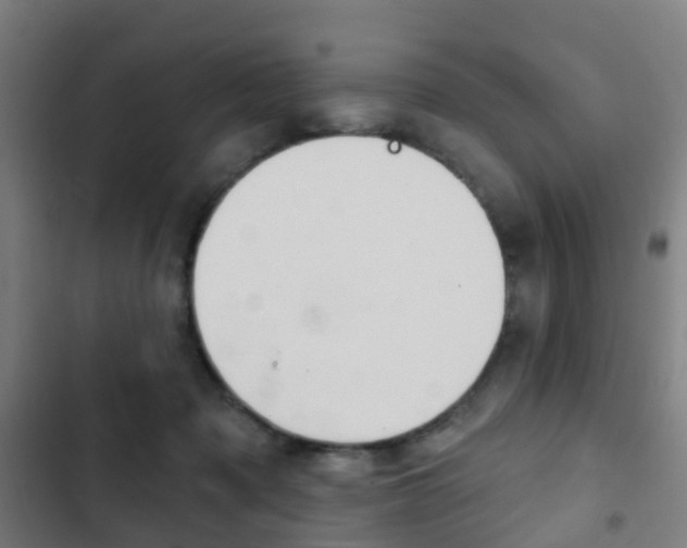 X0000103400317200809120930