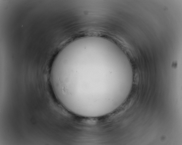 X0000103400318200809120930