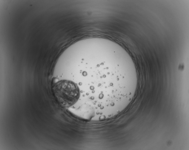 X0000103400320200809120930