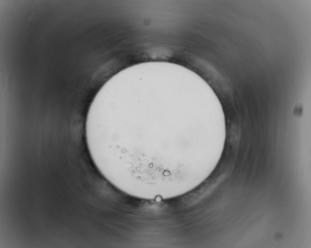 X0000103400321200809120930