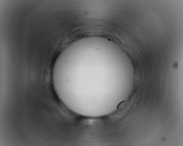X0000103400323200809120930