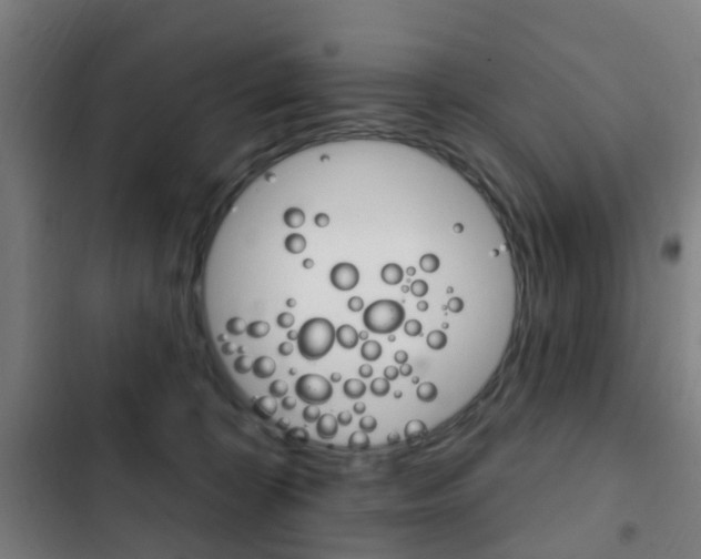 X0000103400324200809120930