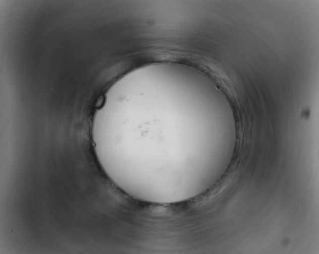 X0000103400325200809120930