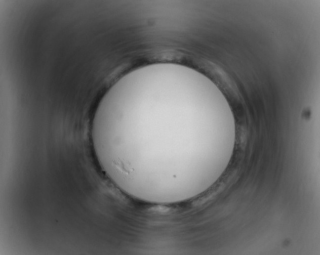 X0000103400326200809120930