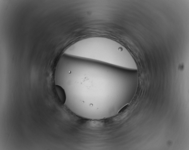 X0000103400327200809120930
