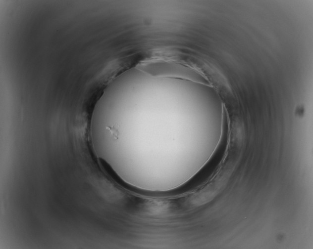 X0000103400328200809120930