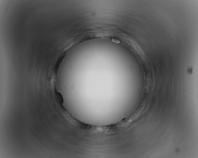 X0000103400329200809120930