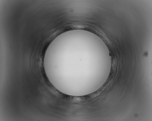 X0000103400330200809120930