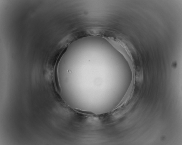 X0000103400332200809120930