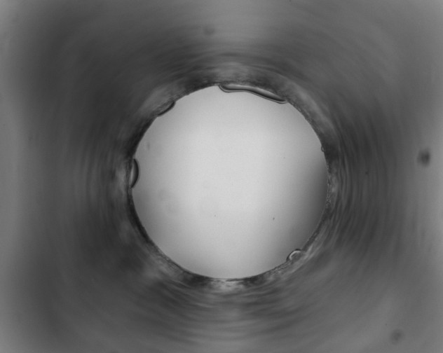 X0000103400333200809120930