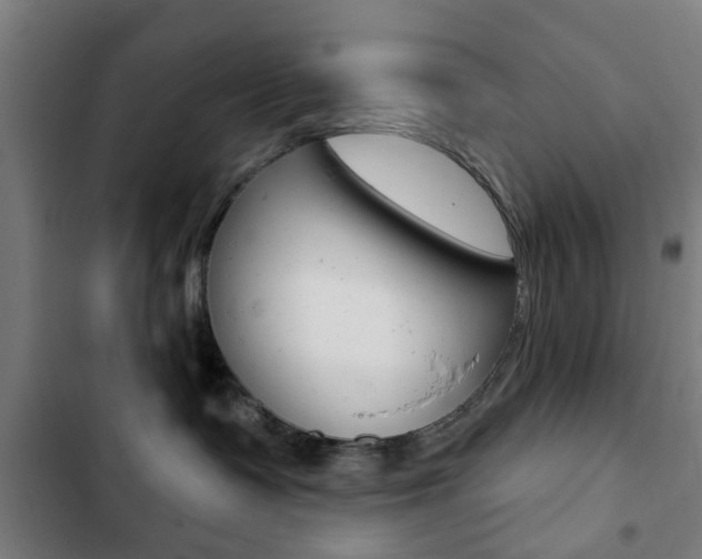 X0000103400335200809120930