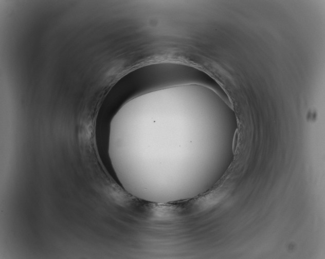 X0000103400336200809120930