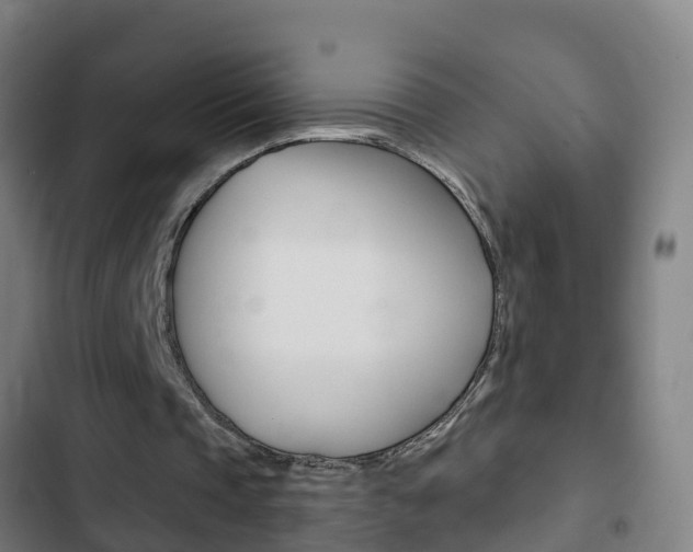 X0000103400337200809120929