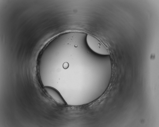 X0000103400338200809120929