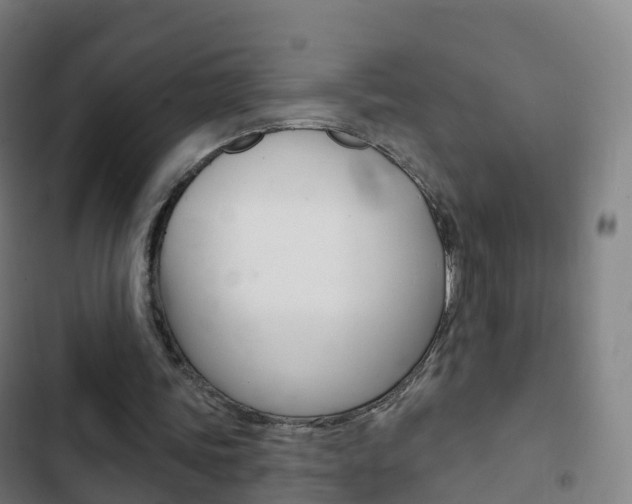 X0000103400339200809120929