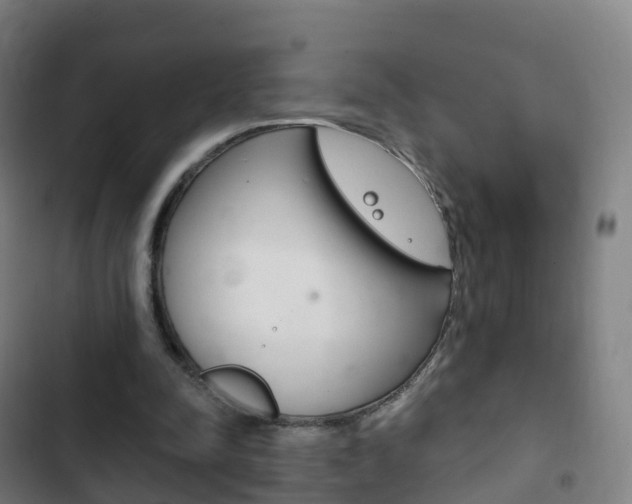 X0000103400342200809120929