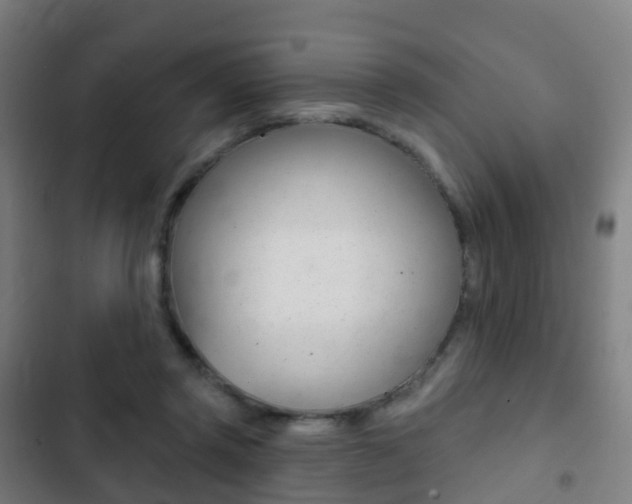 X0000103400357200809120929