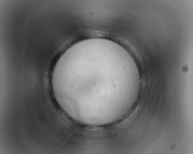 X0000103400359200809120929