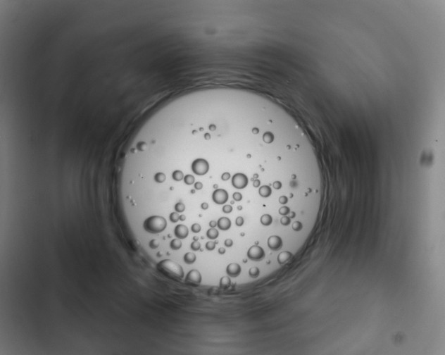 X0000103400360200809120929