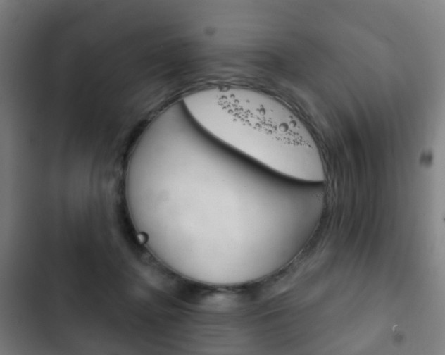 X0000103400364200809120929
