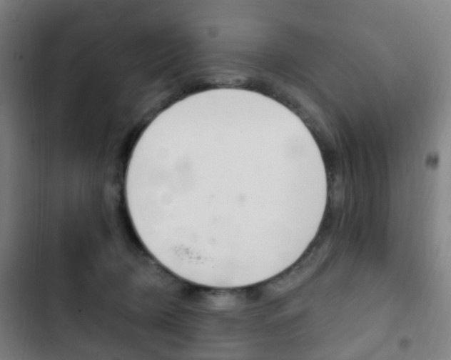 X0000103400370200809120929