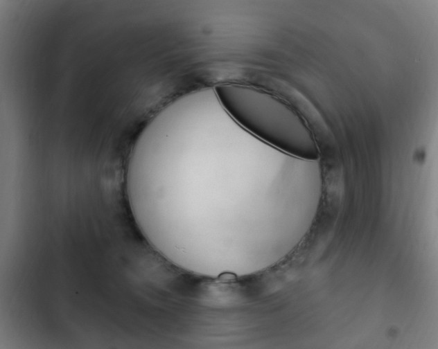 X0000103400372200809120929