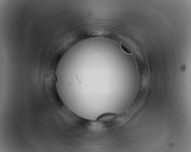 X0000103400376200809120929