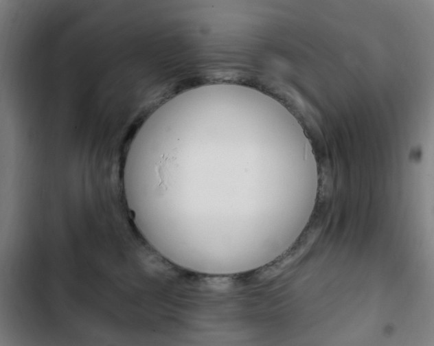 X0000103400377200809120929