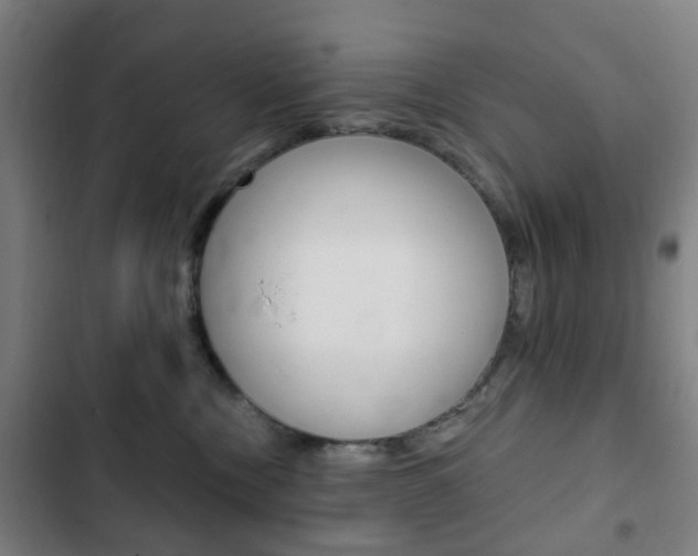 X0000103400378200809120930