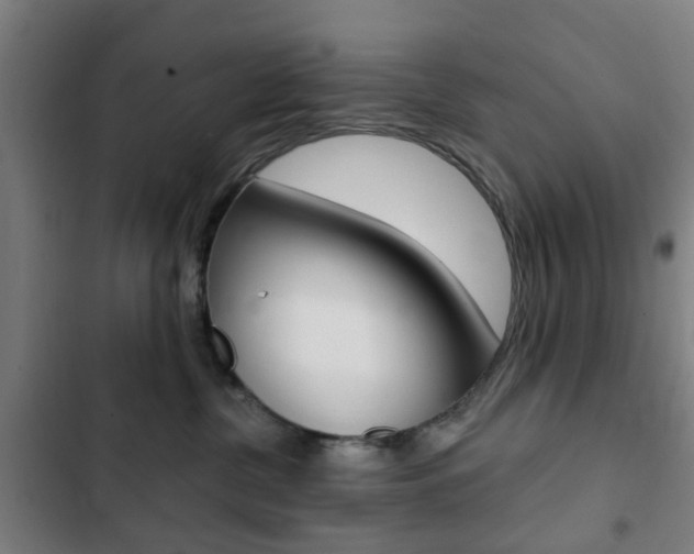 X0000103400380200809120930
