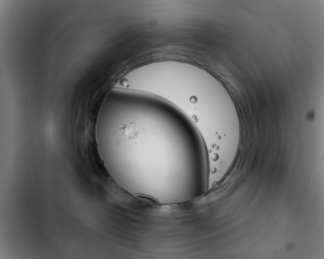 X0000103400382200809120930