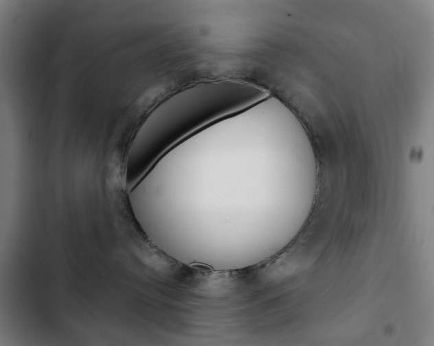 X0000103400384200809120930