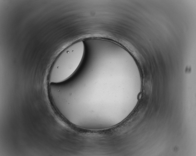 X0000103400389200809120929