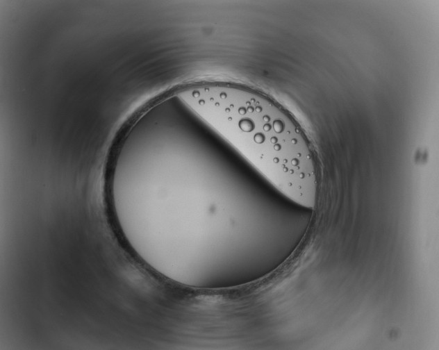 X0000103400391200809120929